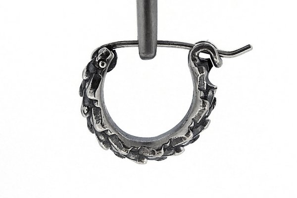 画像2: 竜鱗ピアスS