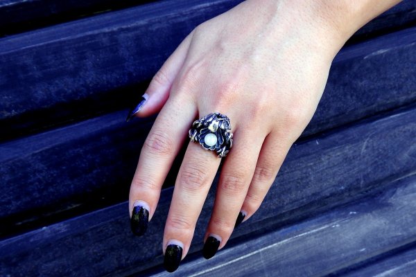 画像14: ShellRing(シェルリング)