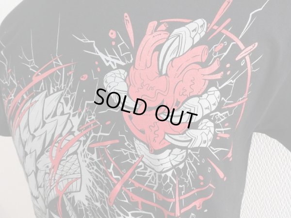 ドラゴン,dragon ,Tシャツ,シャツ,アニマ,ミチヅキ,イラスト5