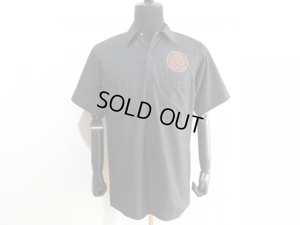 ヨシジマシウ、イラスト