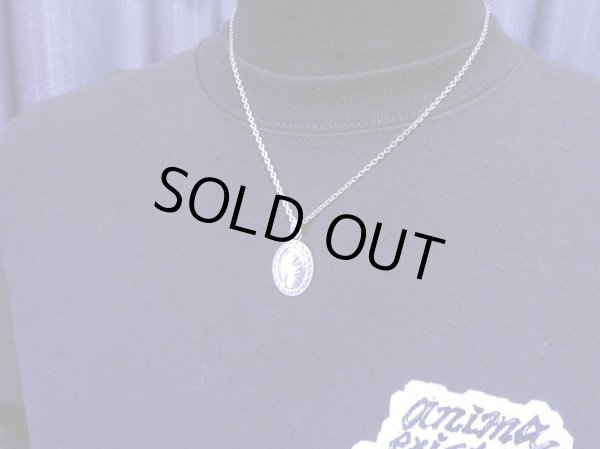 画像7: 猫の肖像画M (7)