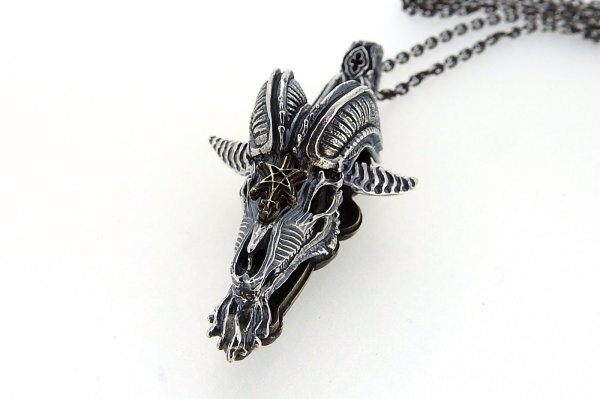 画像2: 牡山羊 (2)