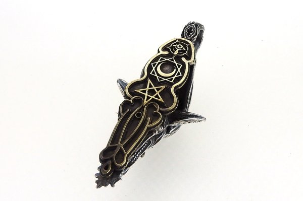 画像6: 牡山羊 (6)