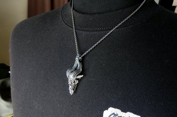 画像7: 牡山羊 (7)