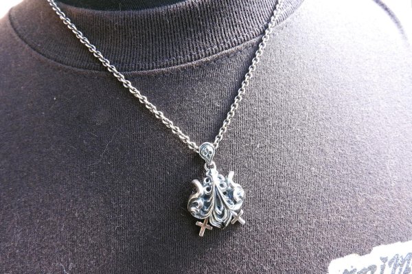 画像10:  lilium inter spinas　（リリウムインタースピナス） (10)