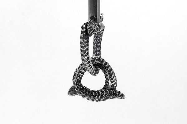 画像1: ワームピアス (1)