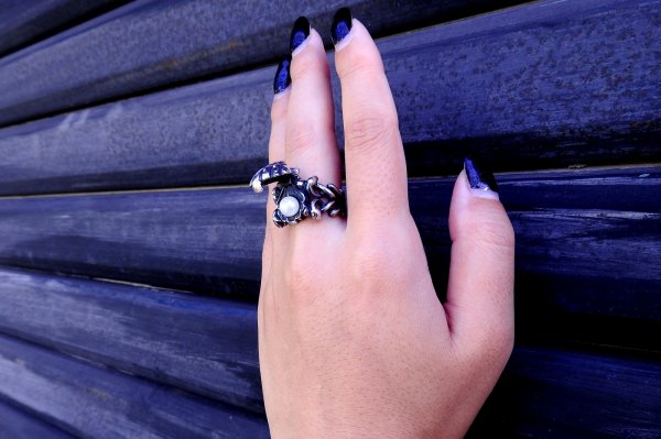 画像12: ShellRing(シェルリング) (12)