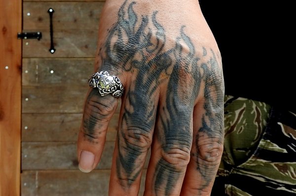 画像5: dilecta（ディレクタ） (5)