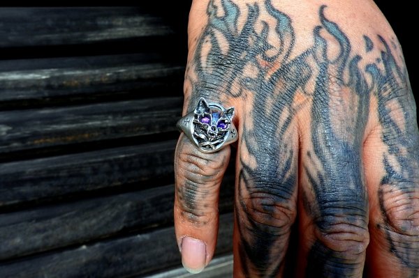 画像6: 不死猫の指輪 (6)