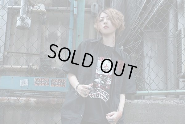 ヨシジマシウ、イラスト