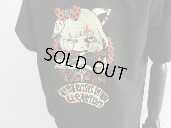 ヨシジマシウ、イラスト